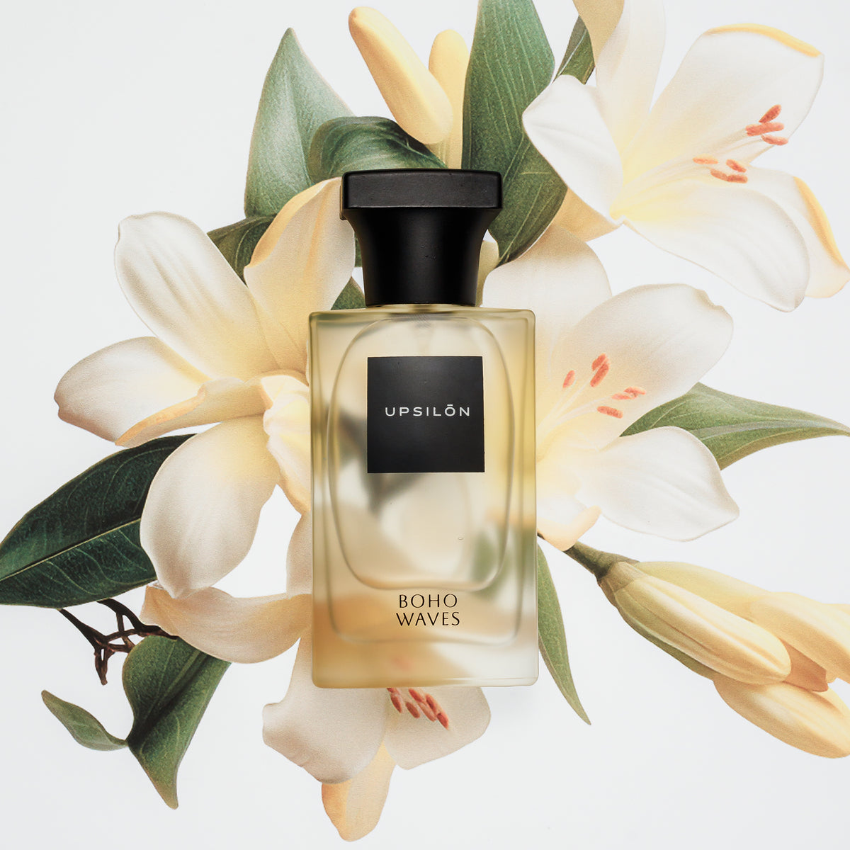 A luxurious bottle of UPSILON Boho Waves Eau de Parfum, adorned with a touch of bohemian flair, rests upon a plush velvet cushion, accompanied by a single delicate pink flower